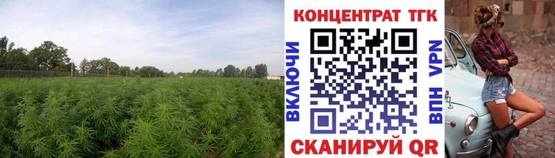 Дистиллят ТГК концентрат  гидра ONION  Малоярославец  наркотики 
